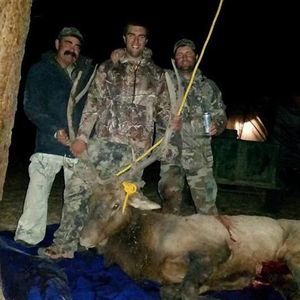 Meet your Posher, Ryan